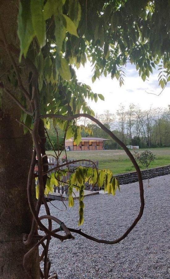Agriturismo Helianthus Oleggio Exterior photo